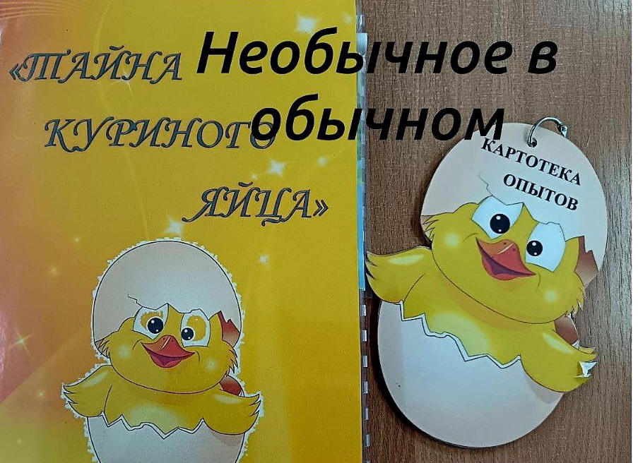 Исследовательская деятельность во второй младшей интегрированной группе №4