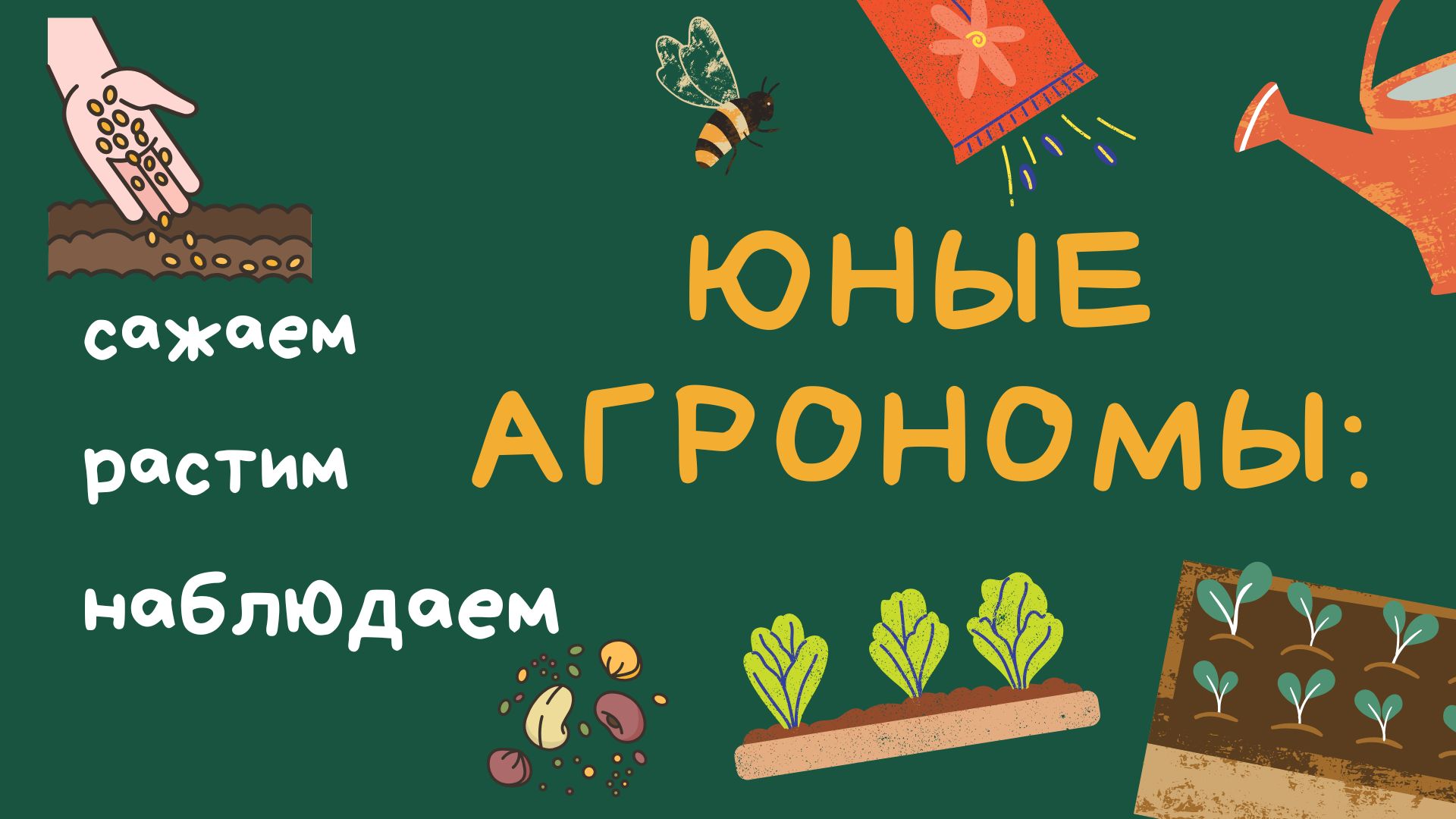 Трудовая деятельность