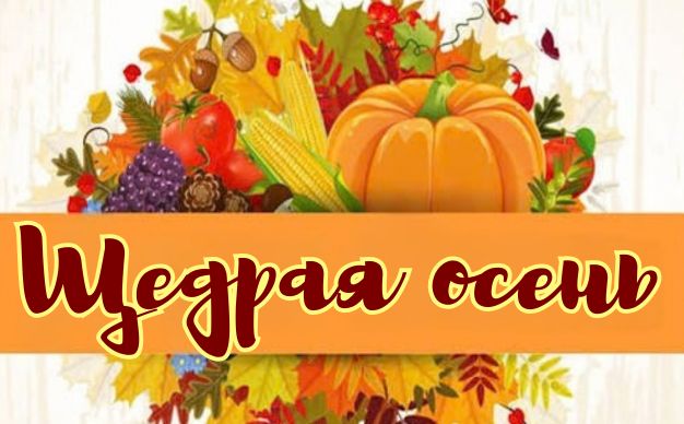 Выставка поделок из природного материала 