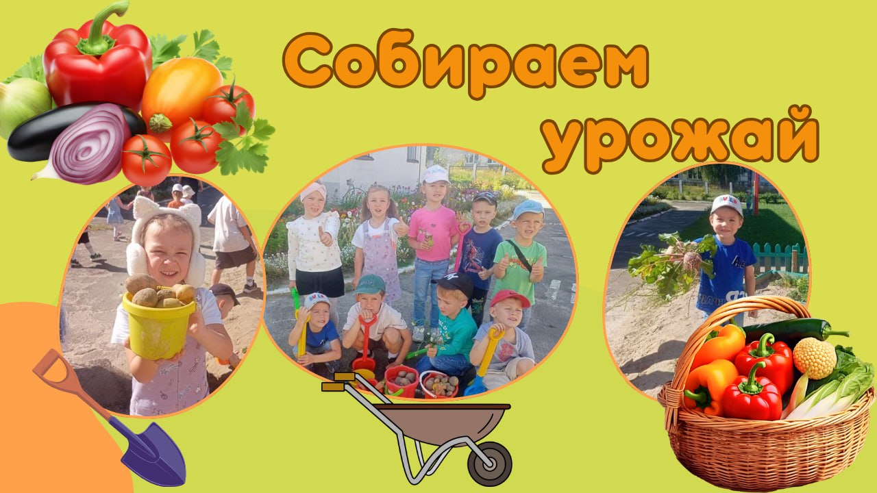 Труд в природе в старшей интегрированной группе №3
