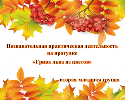 Познавательная практическая деятельность на прогулке во второй младшей группе