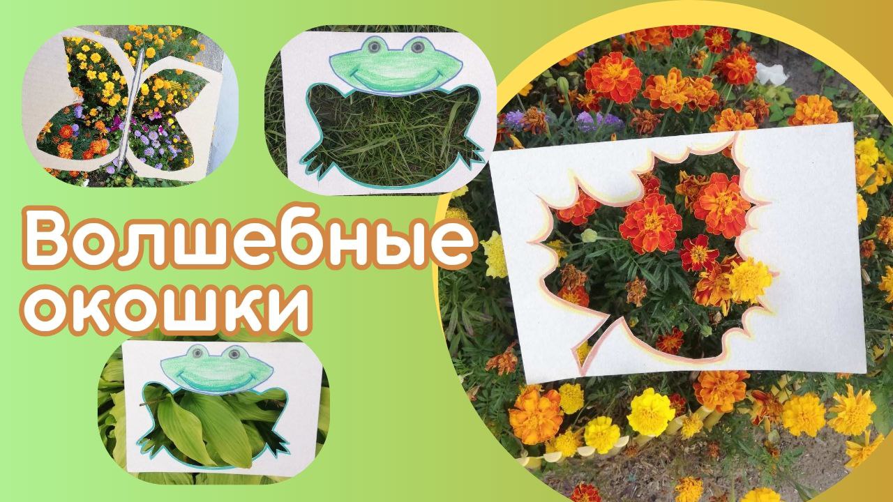 Изучаем растения