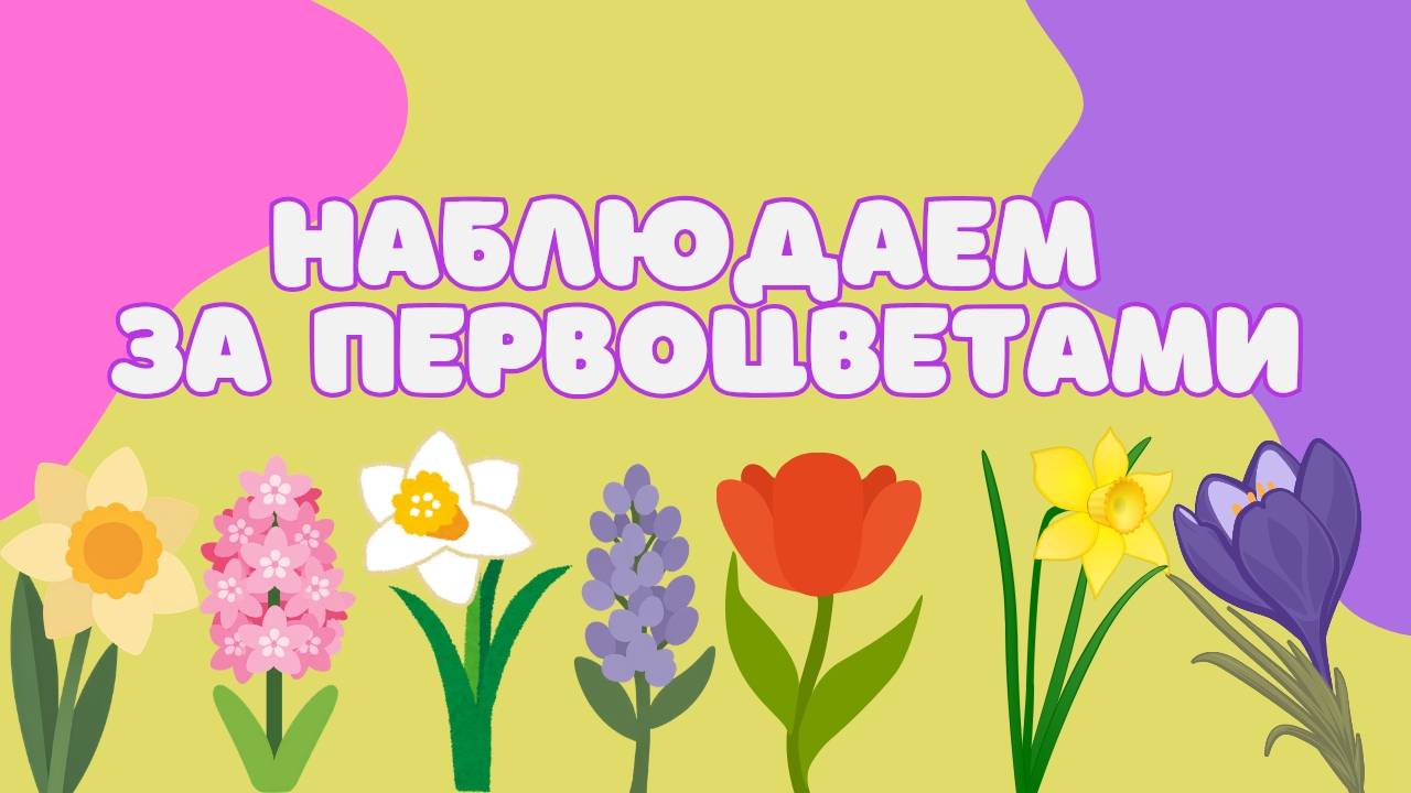 Исследовательская прогулка в средней группе 